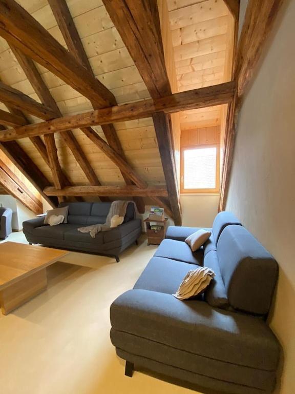 Maison De Charme En Alsace - In Vino Veritas - 12 Personnes Gueberschwihr Luaran gambar