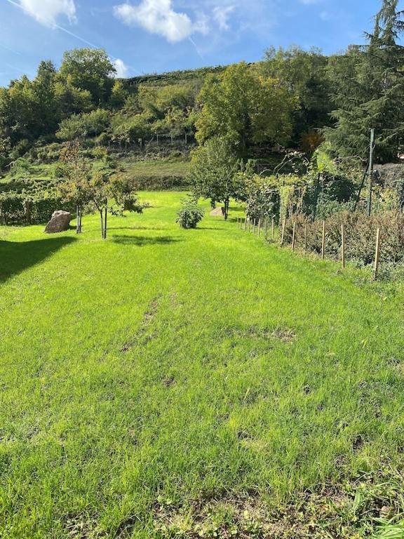 Maison De Charme En Alsace - In Vino Veritas - 12 Personnes Gueberschwihr Luaran gambar